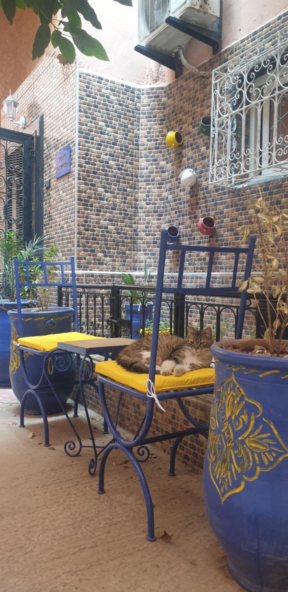 Riad Ramona Lqariya Seyaheya Marrakesh Esterno foto